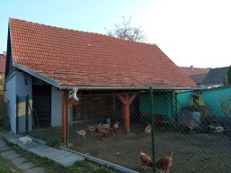 IMG_20211111_145430